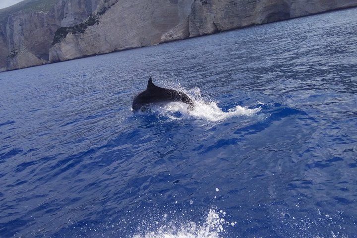 Tour de día completo explorando la famosa Playa del Naufragio, las Cuevas Azules y los miradores de Zakynthos, foto 10 | wizardtrip