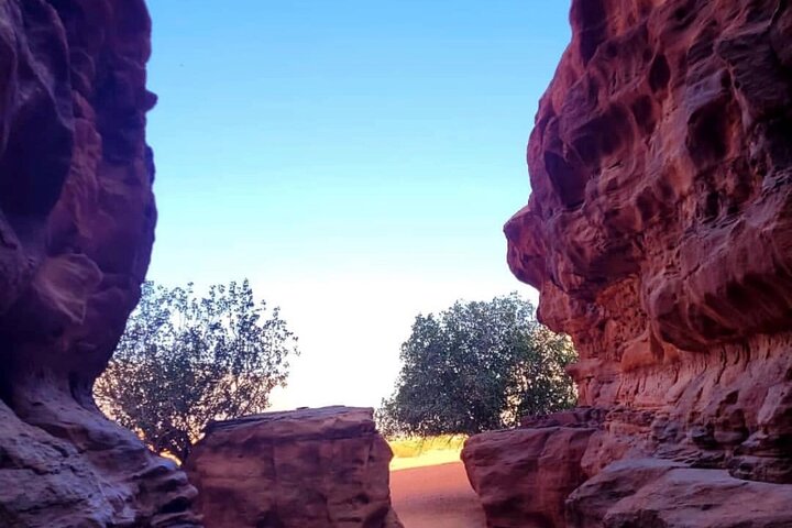 Upplev en heldags jeeputflykt i Wadi Rum, Jordanien, med övernattning i ett beduinläger, foto 6 | wizardtrip