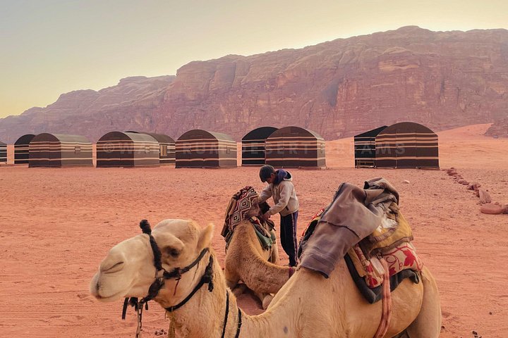 Upplev en heldags jeeputflykt i Wadi Rum, Jordanien, med övernattning i ett beduinläger, foto 36 | wizardtrip
