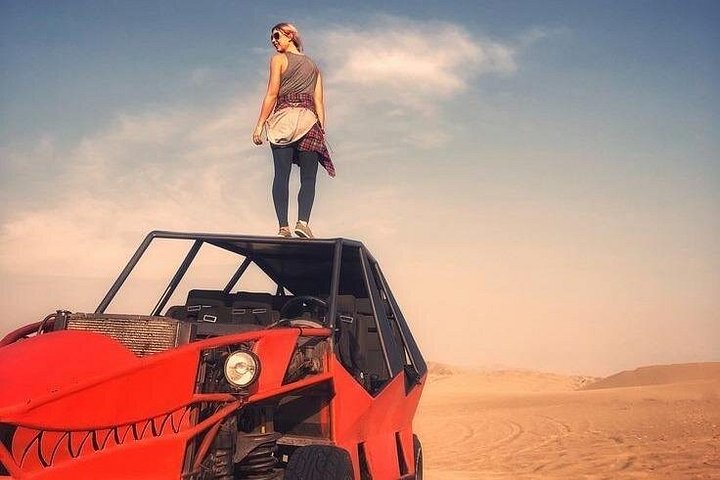 Excursion d'une journée complète de Lima à Paracas, Ica et Huacachina avec faune, aventures dans le désert et dégustation de Pisco, photo 8 | wizardtrip