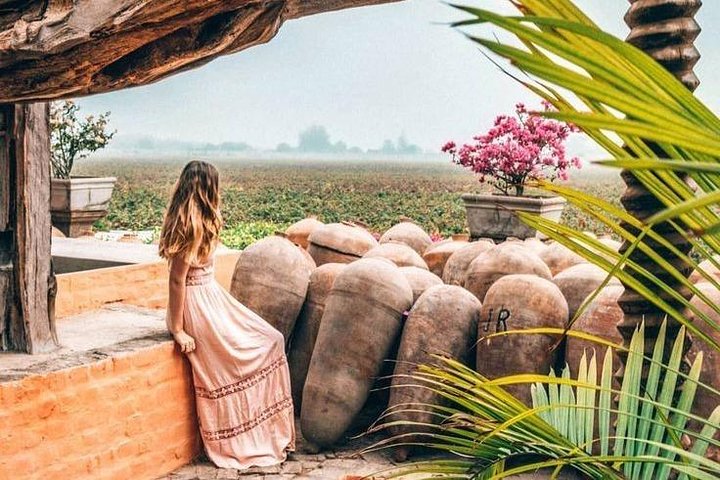 Excursion d'une journée complète de Lima à Paracas, Ica et Huacachina avec faune, aventures dans le désert et dégustation de Pisco, photo 9 | wizardtrip