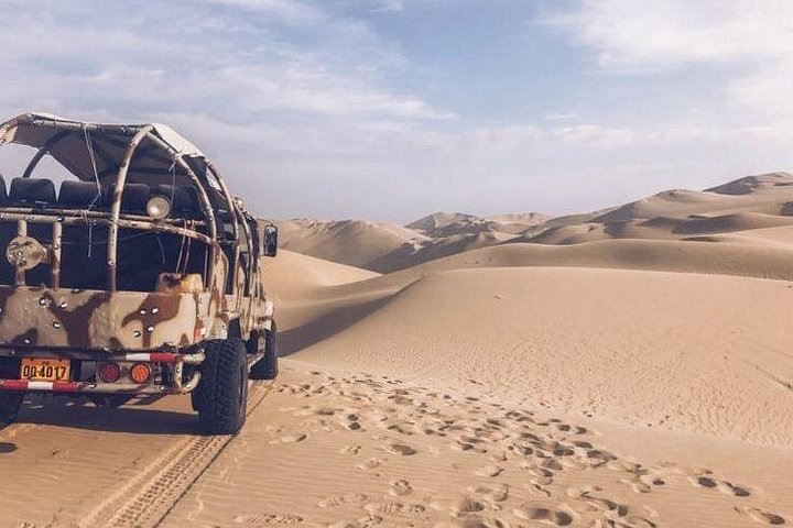 Excursion d'une journée complète de Lima à Paracas, Ica et Huacachina avec faune, aventures dans le désert et dégustation de Pisco, photo 11 | wizardtrip