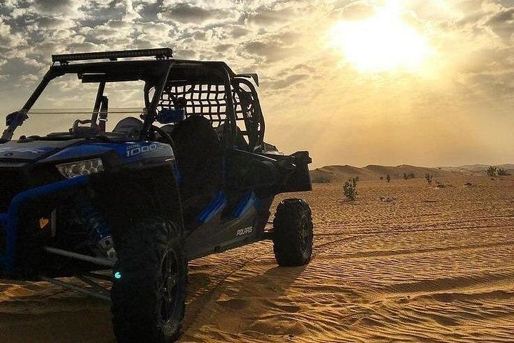 Excursion d'une journée complète de Lima à Paracas, Ica et Huacachina avec faune, aventures dans le désert et dégustation de Pisco, photo 14 | wizardtrip