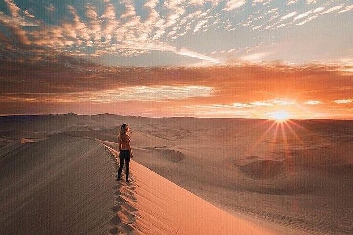 Excursion d'une journée complète de Lima à Paracas, Ica et Huacachina avec faune, aventures dans le désert et dégustation de Pisco, photo 15 | wizardtrip