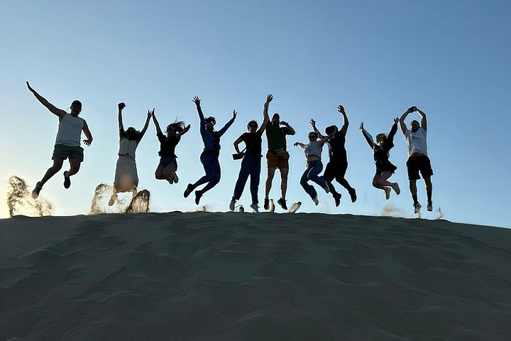Excursion d'une journée complète de Lima à Paracas, Ica et Huacachina avec faune, aventures dans le désert et dégustation de Pisco, photo 17 | wizardtrip