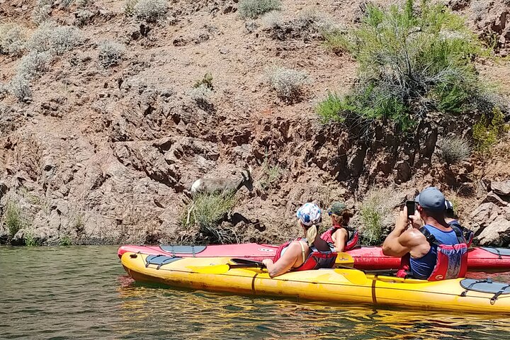 Kajakroere padler gennem den naturskønne Black Canyon på Colorado River mod Emerald Cave, foto 23 | wizardtrip