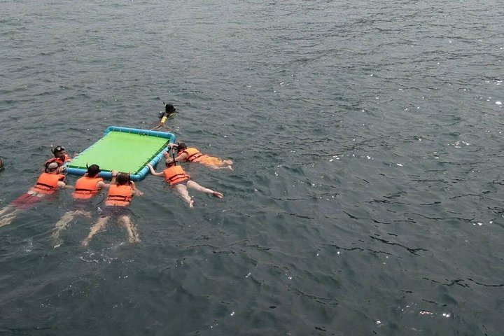 Aventura completa de snorkel en Koh Tao, Tailandia, con barco, arrecifes y vistas de la isla, foto 9 | wizardtrip