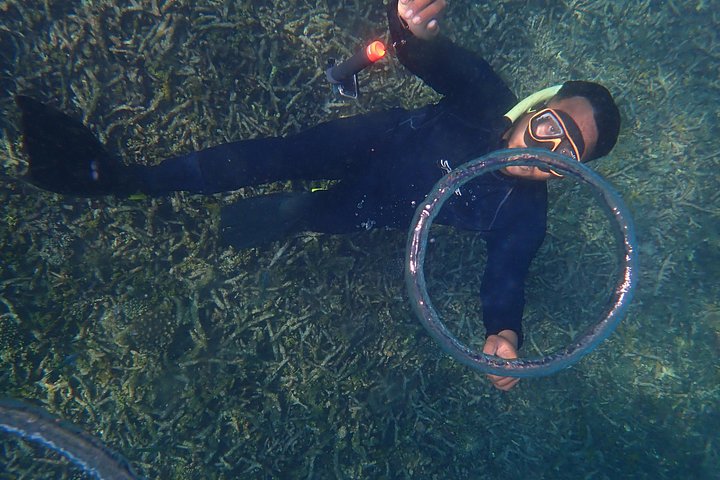 Aventura completa de snorkel en Koh Tao, Tailandia, con barco, arrecifes y vistas de la isla, foto 38 | wizardtrip