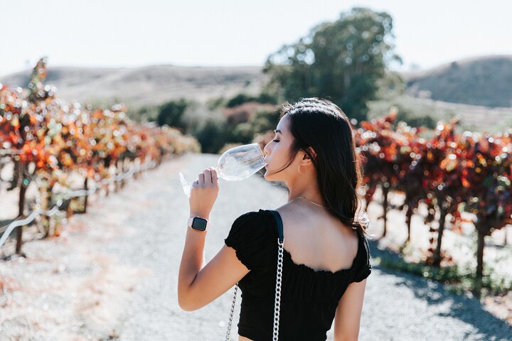San Francisco Super Saver: Muir Woods & Wine Country m. valgfri gourmetfrokost | wizardtrip