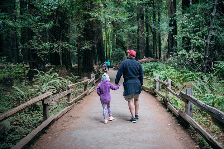 Tour van Muir Woods sequoia's en Napa/Sonoma wijnland vanuit San Francisco, foto 6 | wizardtrip