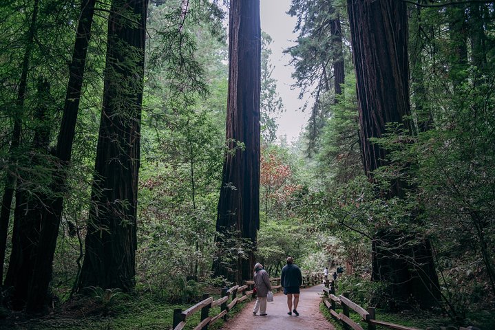 Tour van Muir Woods sequoia's en Napa/Sonoma wijnland vanuit San Francisco, foto 10 | wizardtrip