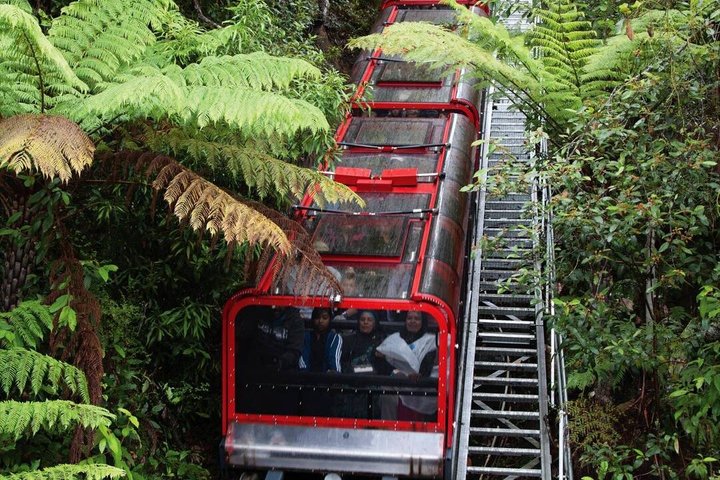 Vistas panorámicas de las Montañas Azules, animales del Zoo de Sídney y un crucero por el puerto, foto 7 | wizardtrip