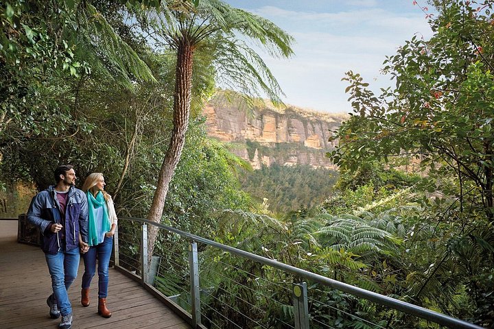 Vistas panorámicas de las Montañas Azules, animales del Zoo de Sídney y un crucero por el puerto, foto 9 | wizardtrip