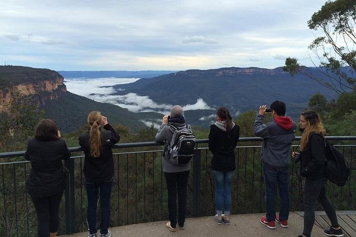 Vistas panorámicas de las Montañas Azules, animales del Zoo de Sídney y un crucero por el puerto, foto 10 | wizardtrip
