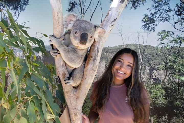 Vistas panorámicas de las Montañas Azules, animales del Zoo de Sídney y un crucero por el puerto, foto 19 | wizardtrip