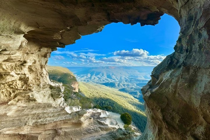 Vistas panorámicas de las Montañas Azules, animales del Zoo de Sídney y un crucero por el puerto, foto 22 | wizardtrip