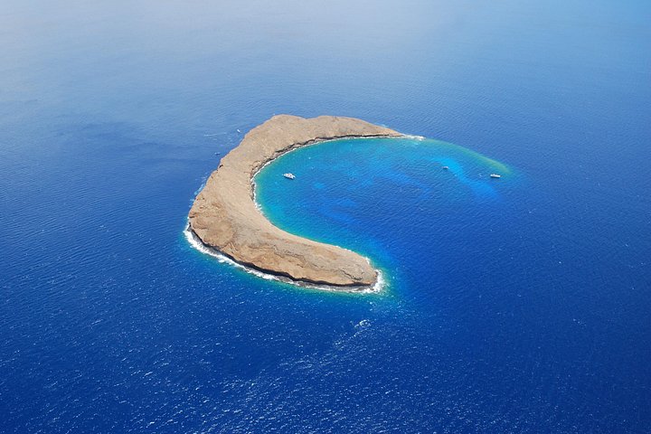 マウイ島：モロキニ＆タートルタウン シュノーケル＆ウォータースライダーアドベンチャー | wizardtrip