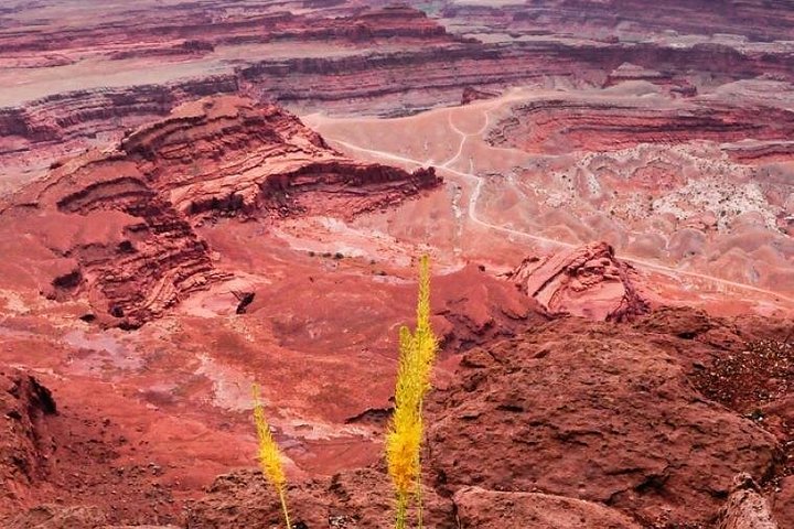 4x4 Jeep-Abenteuer im Canyonlands Nationalpark, Utah, Erkundung des Shafer Trail und Island in the Sky, Foto 11 | wizardtrip