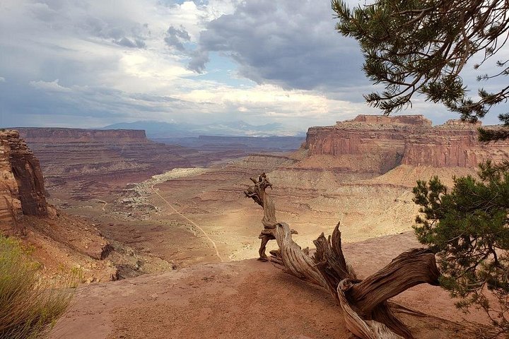 4x4 Jeep-Abenteuer im Canyonlands Nationalpark, Utah, Erkundung des Shafer Trail und Island in the Sky, Foto 12 | wizardtrip