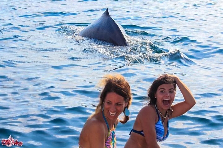 All-inclusive båttur til Marietasøyene, Mexico, med vannaktiviteter og dyrelivsobservasjon, foto 9 | wizardtrip