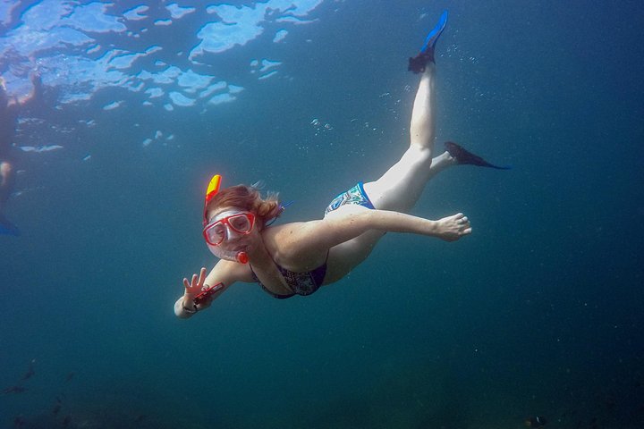 All-inclusive båttur til Marietasøyene, Mexico, med vannaktiviteter og dyrelivsobservasjon, foto 18 | wizardtrip