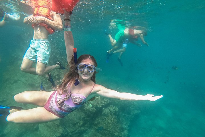 All-inclusive båttur til Marietasøyene, Mexico, med vannaktiviteter og dyrelivsobservasjon, foto 19 | wizardtrip