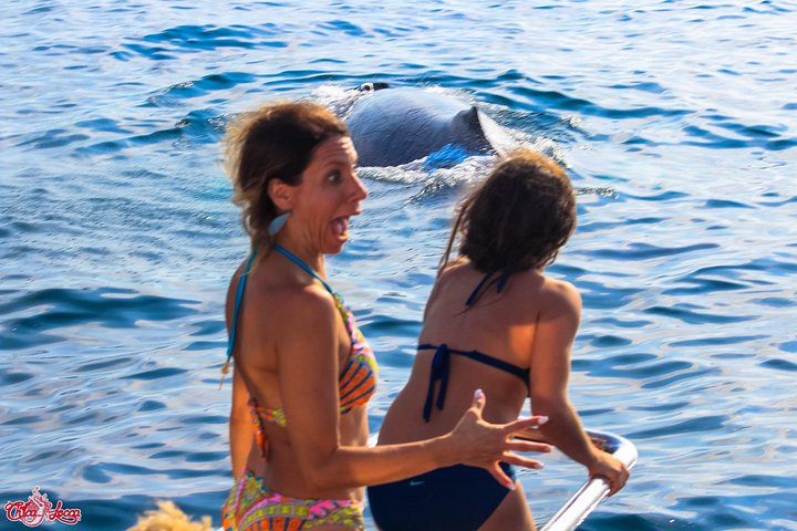 All-inclusive båttur til Marietasøyene, Mexico, med vannaktiviteter og dyrelivsobservasjon, foto 27 | wizardtrip