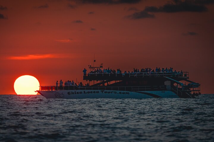 Coucher de soleil et baleines sur méga yacht TOUT COMPRIS : Puerto Vallarta | wizardtrip