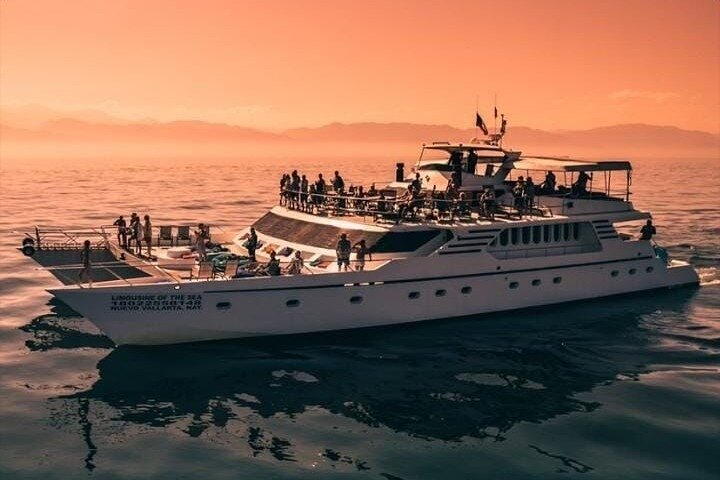 Croisière en méga yacht à Puerto Vallarta pour l'observation des baleines et le coucher du soleil, photo 6 | wizardtrip