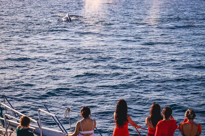 Croisière en méga yacht à Puerto Vallarta pour l'observation des baleines et le coucher du soleil, photo 7 | wizardtrip