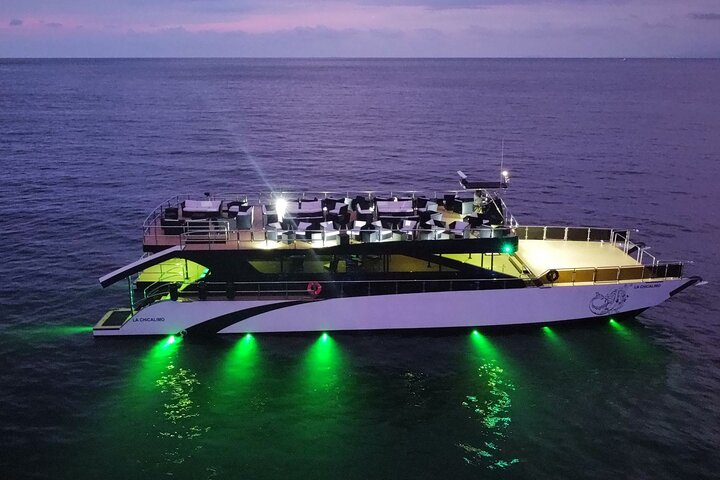 Croisière en méga yacht à Puerto Vallarta pour l'observation des baleines et le coucher du soleil, photo 13 | wizardtrip