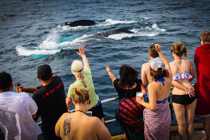 Croisière en méga yacht à Puerto Vallarta pour l'observation des baleines et le coucher du soleil, photo 17 | wizardtrip