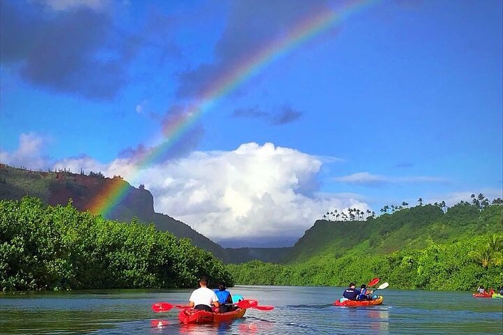 Kauai Adventure: Kayak & Hike to Secret Falls with Expert Guide | wizardtrip