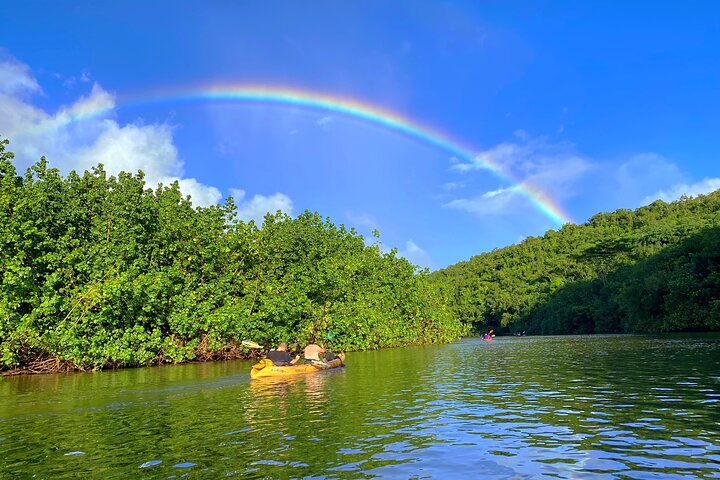 Guidet kajakk- og fottureventyr til Secret Falls på Kauai, som utforsker Wailua River-dalen, foto 8 | wizardtrip