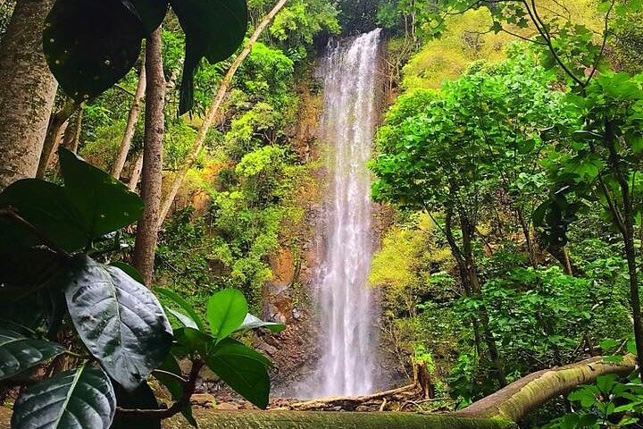 Guidet kajakk- og fottureventyr til Secret Falls på Kauai, som utforsker Wailua River-dalen, foto 10 | wizardtrip