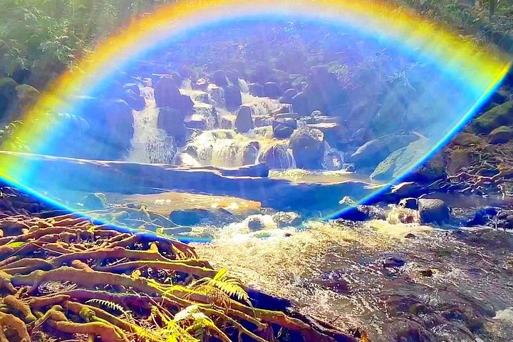 Guidet kajakk- og fottureventyr til Secret Falls på Kauai, som utforsker Wailua River-dalen, foto 14 | wizardtrip