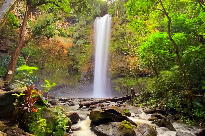 Guidet kajakk- og fottureventyr til Secret Falls på Kauai, som utforsker Wailua River-dalen, foto 16 | wizardtrip
