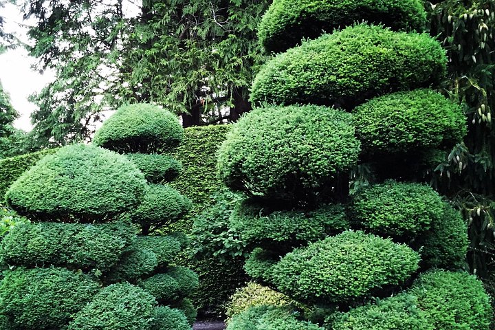 Kombi-Tour durch Victorias Stadtansichten und die wunderschönen Butchart Gardens in Kanada, Foto 9 | wizardtrip