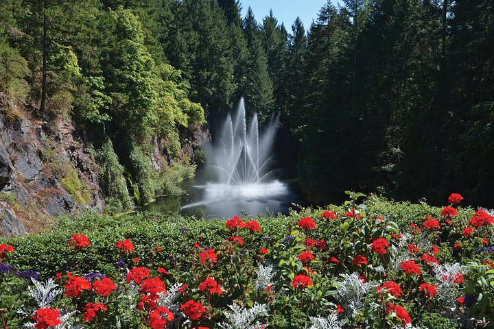 Kombi-Tour durch Victorias Stadtansichten und die wunderschönen Butchart Gardens in Kanada, Foto 12 | wizardtrip