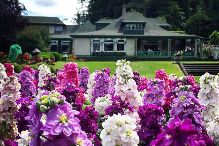 Kombi-Tour durch Victorias Stadtansichten und die wunderschönen Butchart Gardens in Kanada, Foto 13 | wizardtrip
