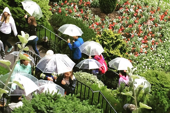 Kombi-Tour durch Victorias Stadtansichten und die wunderschönen Butchart Gardens in Kanada, Foto 16 | wizardtrip
