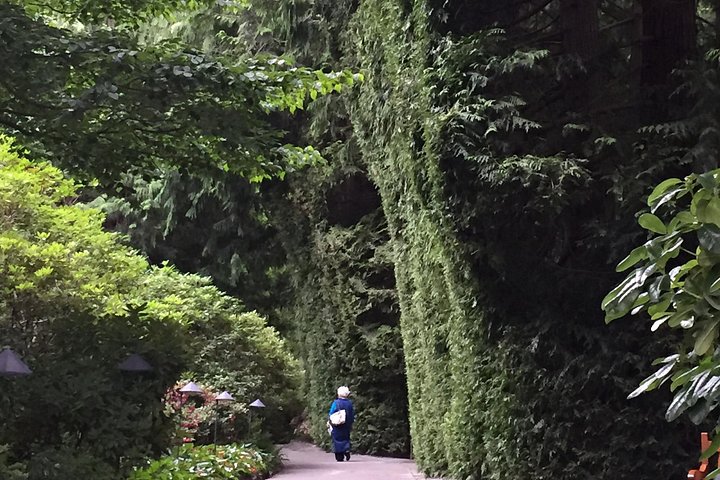 Kombi-Tour durch Victorias Stadtansichten und die wunderschönen Butchart Gardens in Kanada, Foto 18 | wizardtrip