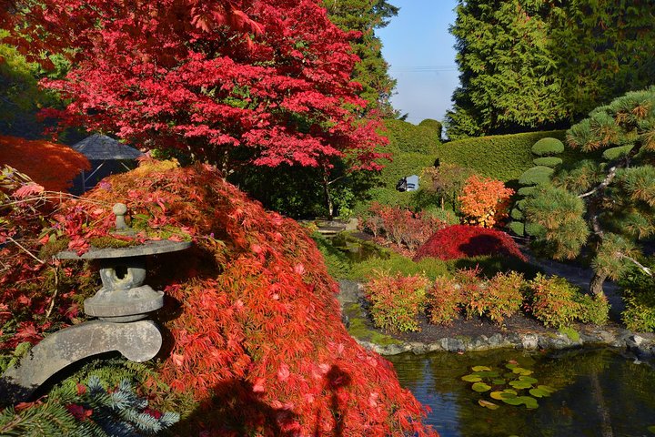 Kombi-Tour durch Victorias Stadtansichten und die wunderschönen Butchart Gardens in Kanada, Foto 26 | wizardtrip