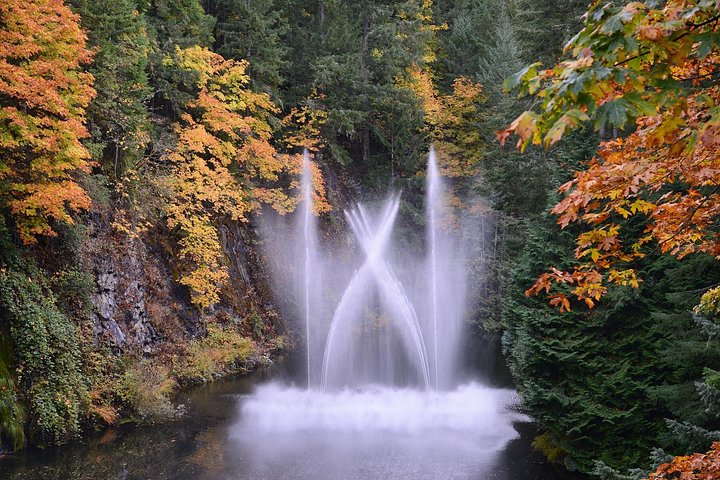 Kombi-Tour durch Victorias Stadtansichten und die wunderschönen Butchart Gardens in Kanada, Foto 28 | wizardtrip