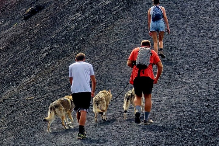 Verken de vulkanische landschappen, lavagrotten en kraters van de Etna tijdens een begeleide ochtendtour vanuit Catania met lunch, foto 24 | wizardtrip
