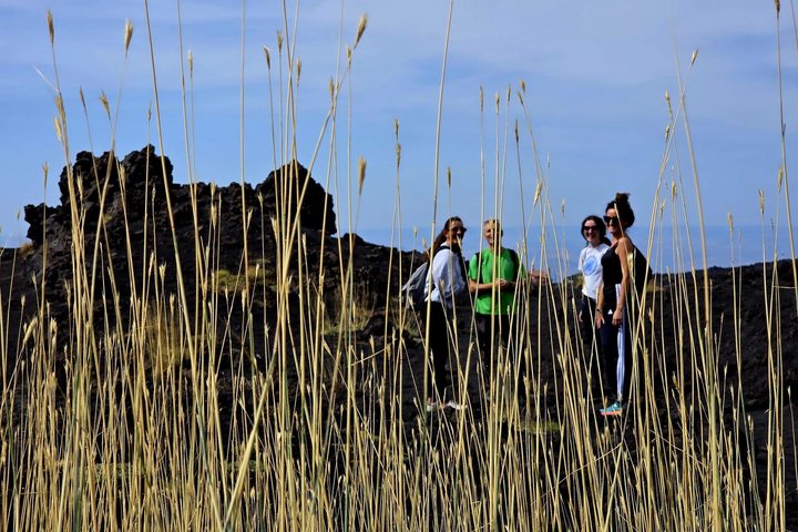 Verken de vulkanische landschappen, lavagrotten en kraters van de Etna tijdens een begeleide ochtendtour vanuit Catania met lunch, foto 28 | wizardtrip