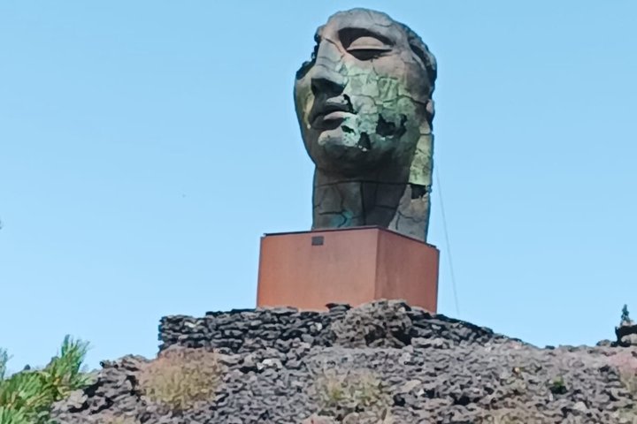 Verken de vulkanische landschappen, lavagrotten en kraters van de Etna tijdens een begeleide ochtendtour vanuit Catania met lunch, foto 38 | wizardtrip