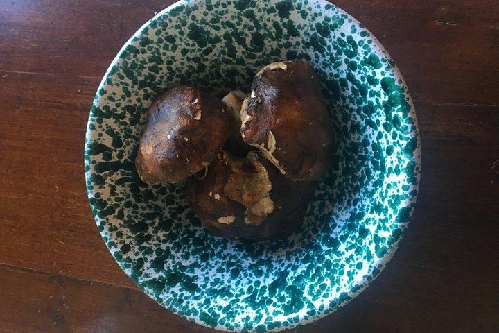 サンジミニャーノ近郊の家族経営の農家で、本格的なトスカーナ料理を学びましょう、写真11 | wizardtrip