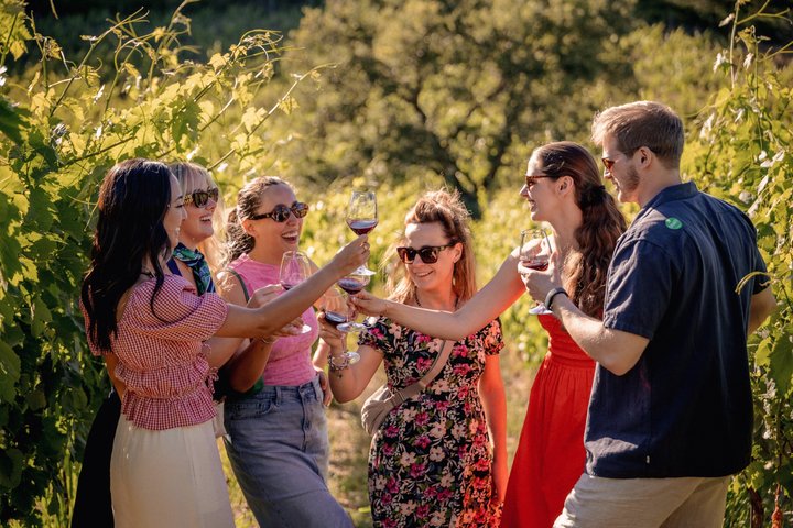 Chianti wine tasting tour from Florence, Italy, with vineyard and winery visits, photo 1 | wizardtrip