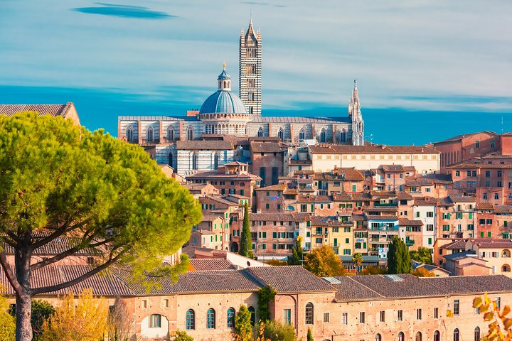 Begeleide dagtour door de iconische steden en landschappen van Toscane, inclusief Pisa, San Gimignano en Siena, foto 16 | wizardtrip